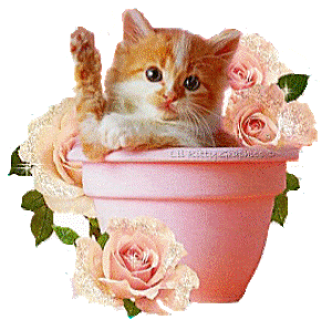 kitty in pink pot of flowers